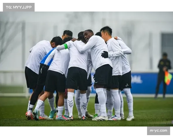 特写：比赛因球迷医疗事件中断，双方球员合力协助救援